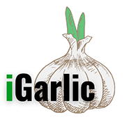 Web design studio "iGarlic"